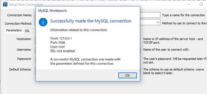 Succesfully made the MySQL connection