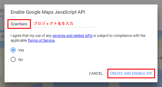 Enable Google Maps JavaScript API
